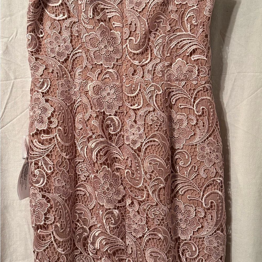 Dress the Population Mauve Lace Midi Dress